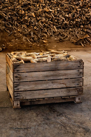 Alt om oliven brænde som en alternativ brændekilde