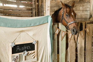 A horse named austin peeks out of his stall.