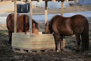 Horses are eating hay from a feeder.